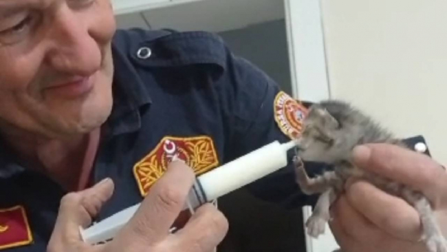 İtfaiye ekipleri kurtardıkları kedileri şırıngayla besledi